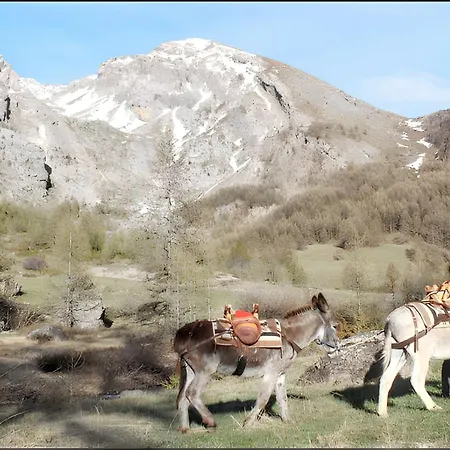 Chaleureux A Uvernet-fours, 25m² Avec Vue Montagne Apartament