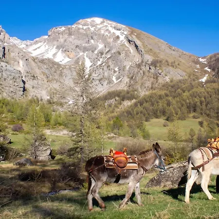 Chaleureux A Uvernet-fours, 25m² Avec Vue Montagne Appartement Uvernet-Fours